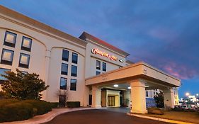 Hampton By Hilton Chihuahua